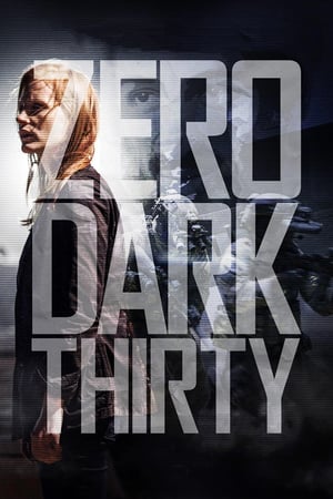 Zero dark thirty hd movie torrent download