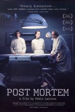 Post Mortem (2010) BluRay 480p & 720p Free HD Movie Download